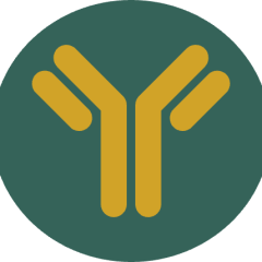 SID Logo Icon-Icon